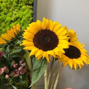 Meet your Posher, Natalia